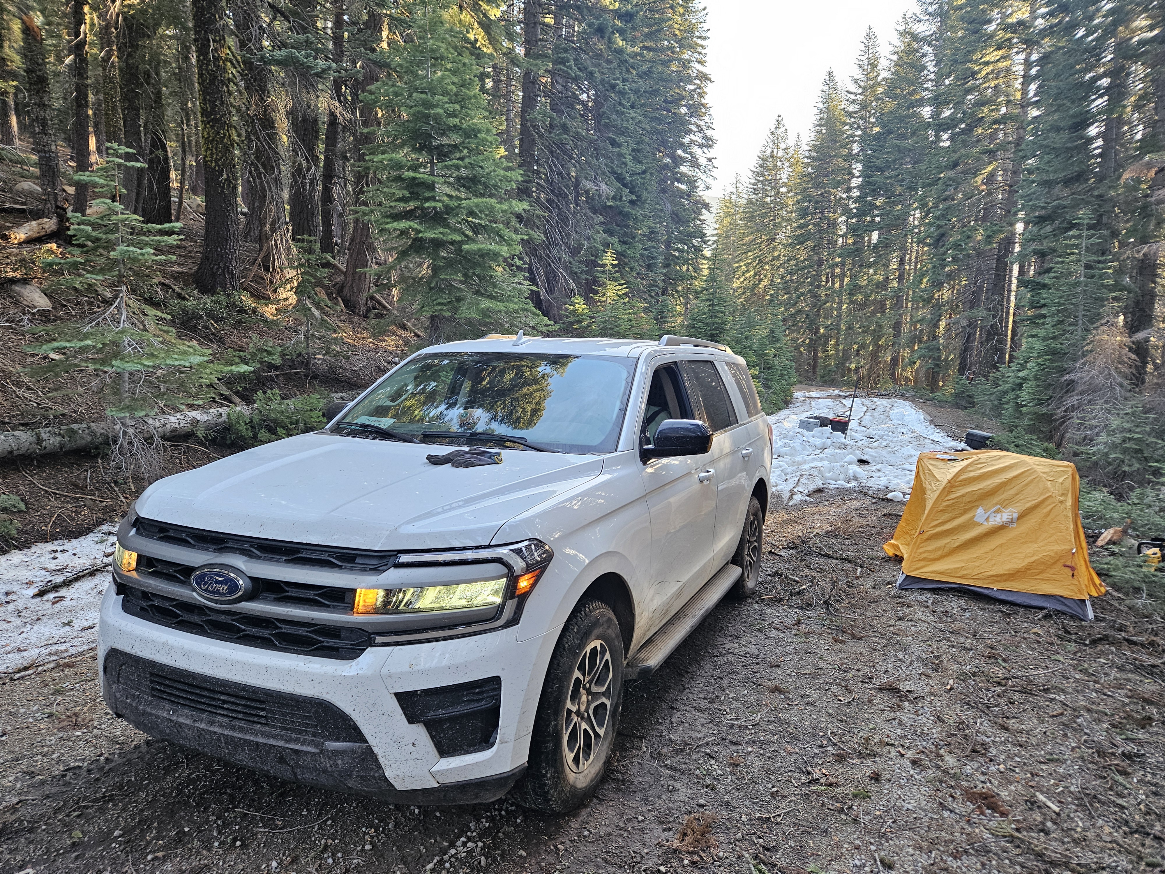 Ground survey efforts begin in early April to detect new wolf packs and to locate known packs' denning locations. 